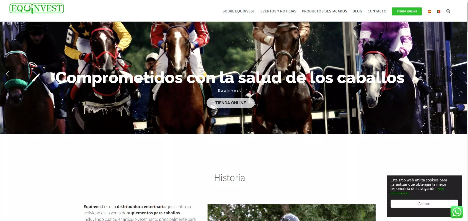 Caballos de carreras saliendo del cajón